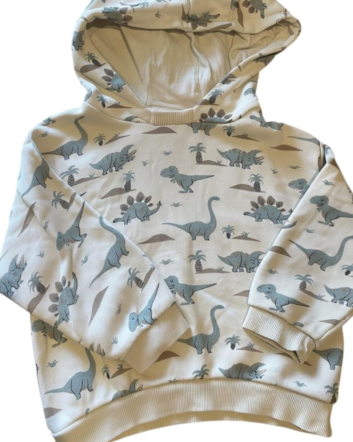 Sweat à capuche