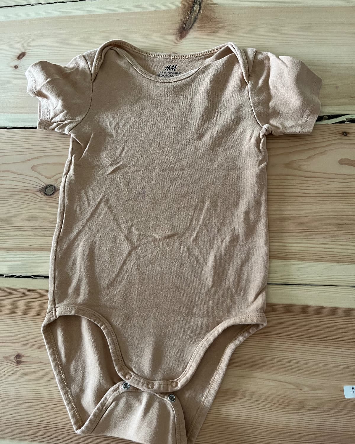 Body manches courtes